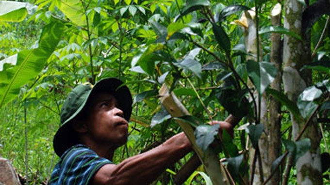 2 can choi bi an cua cha con ‘nguoi rung’ hinh anh