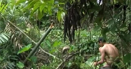 Kham pha cach sinh ton cua cha con ‘nguoi rung’ hinh anh