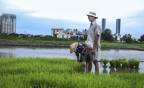 Nhung hai lua cuoi cung o Sai Gon hinh anh