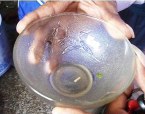 Da xac dinh nguon goc 'sinh vat co gian' trong mi tom hinh anh