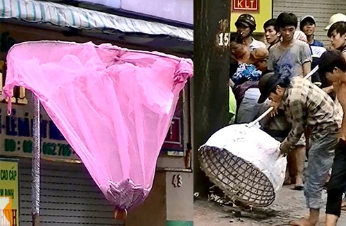 Dung dao cu chuyen nghiep de giat co hon o Sai Gon hinh anh