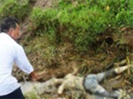 Phat hien thi the bi cho gam 2 canh tay hinh anh