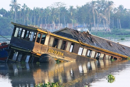 Din Ky da boi thuong, co quan to tung noi chua hinh anh