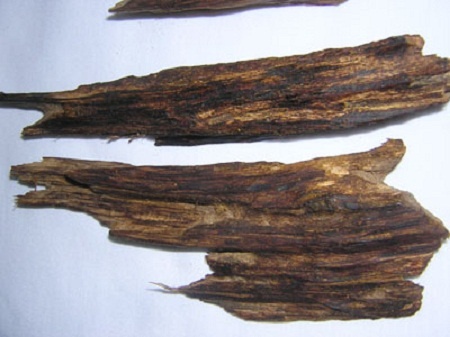 Ro tin don can bo xa ban ky nam gan 4,5 ty dong hinh anh