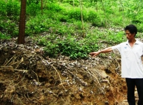 Nu sinh bi nhom trai gio tro doi bai tap the hinh anh