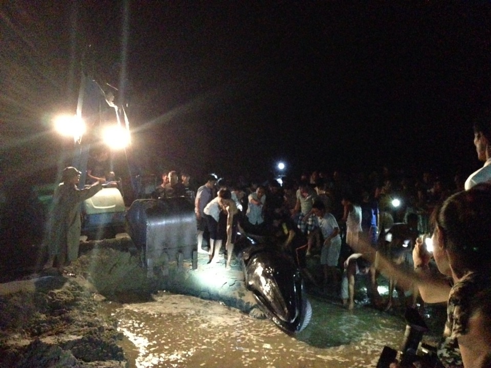 Huy dong 2 may xuc giai cuu ca voi nang 2 tan hinh anh