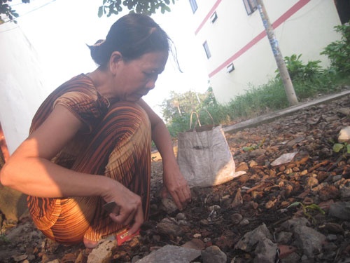 Nhung nguoi muu sinh bang nghe bat gian, san ret hinh anh