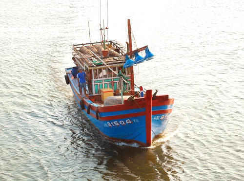 13 ngu dan tren tau ca dang troi dat tren vung bien Hoang Sa hinh anh