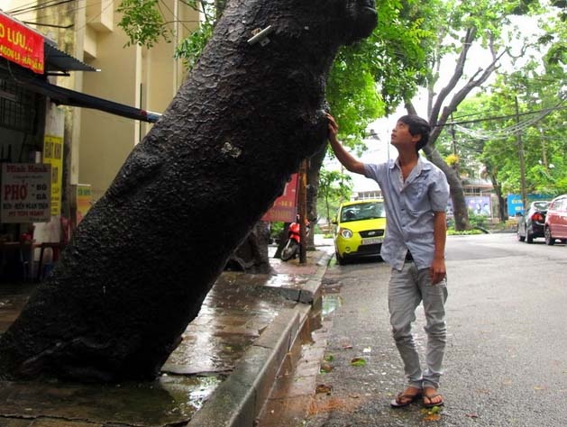Nhung qua 'bom no cham' giua Thu do hinh anh