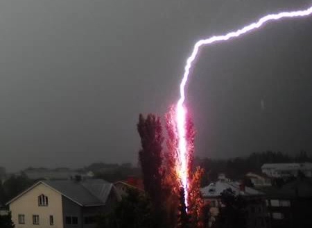 Nguoi dan ong bi set danh chay sem trong gio loc hinh anh