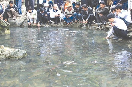 Phat hien thu vi ve suoi ca than thu 3 thieng nhat xu Thanh hinh anh