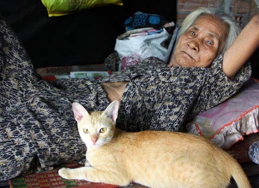 Coi cut cuoi doi hinh anh