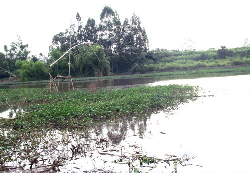 Dong be chuoi keo quan tai tren song o Ha Noi hinh anh