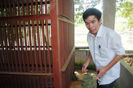 Con gau can dut hai tay chau be da bi giet hinh anh