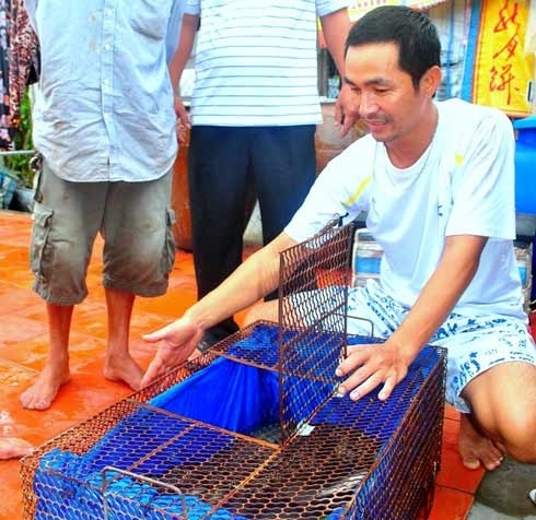 Tiet lo ve con ca sau phat ra tieng cho sua hinh anh