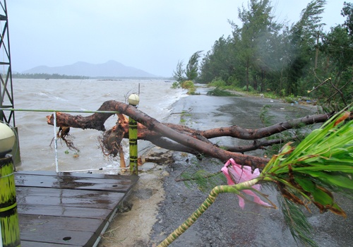 Nhung thiet hai ban dau tu bao so 10 do bo vao mien Trung hinh anh