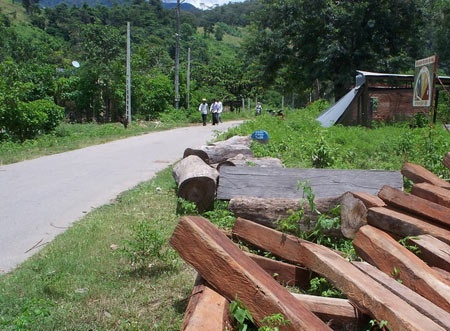 Hai nghi pham trom go bi dan danh ‘hoi dong’ hinh anh