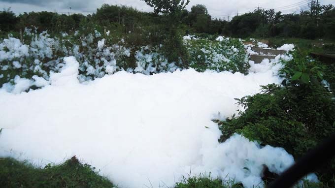 ‘Tuyet trang’ bay khap Cu Chi hinh anh