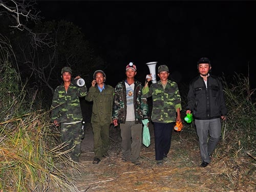 Trang dem dan hang danh trong, dot lua duoi voi rung hinh anh