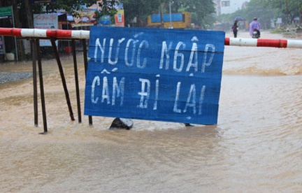 Duong sat ngap nang, huy toan bo tau vao Nam hinh anh