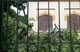 Loi dung mua bao de trom cap hinh anh