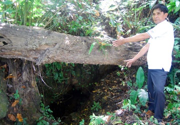 30 nam tim kho bau vua Ham Nghi, chet trong co doc hinh anh