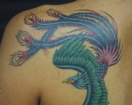 Tho xam tro dan canh, cuop tai san cua khach hinh anh