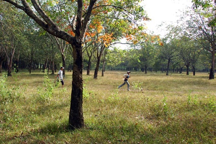 Nu sinh muu tri thoat khoi 3 nam thanh nien doi bai hinh anh
