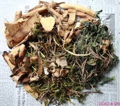 Thuc hu bai thuoc ‘than sau’ chua ung thu do tu tu de lai hinh anh