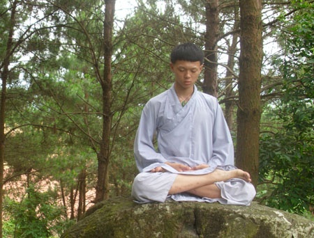 Tuyet ky tang hinh cua thien su co Viet Nam hinh anh