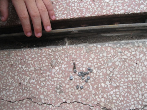 Mot van dong vien vat bi ban trong dem hinh anh