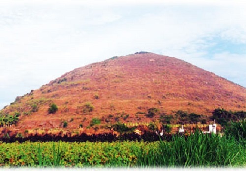 Bi an kho bau bi yem bua o dao Ly Son hinh anh