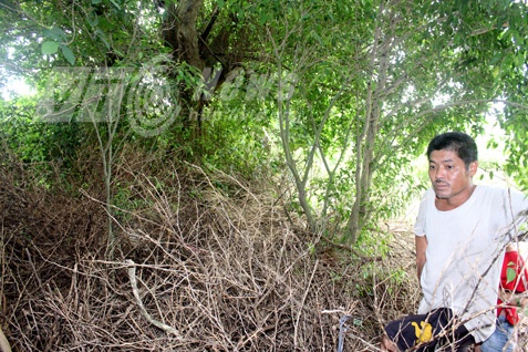 Chuyen cap ran chua khung xuat hien o Gia Lam hinh anh