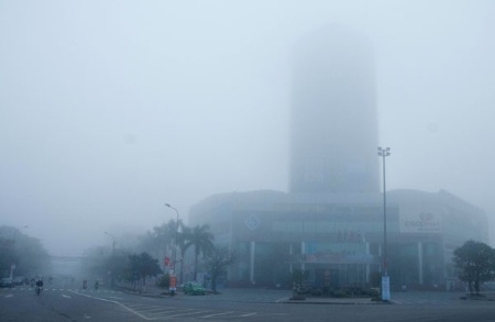 Ha Tinh chim trong suong mu hinh anh