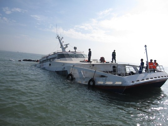 Chim tau khach luc rang sang o Binh Thuan hinh anh