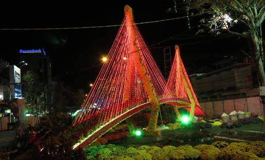 Duong hoa Can Tho long lay truoc gio khai mac hinh anh