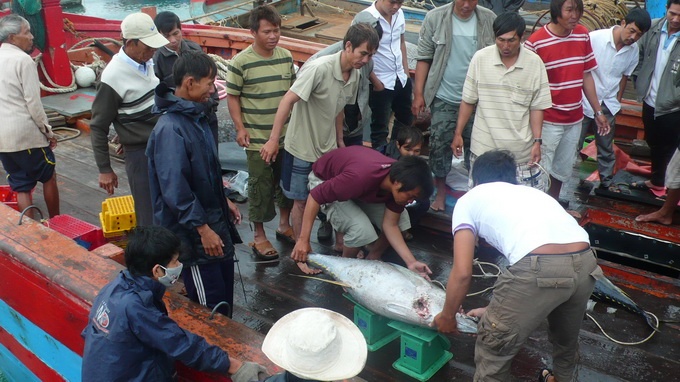 Ngu dan Ly Son tu Hoang Sa hoi ha ve don Tet hinh anh