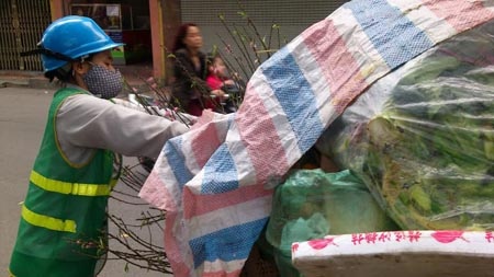 Sau Tet, ca ngan banh chung vao thung rac o Ha Noi hinh anh