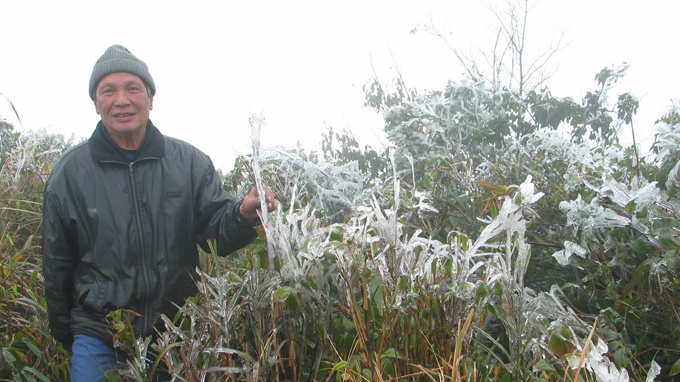 Mau Son am 2,5 do C, bang gia phu trang xoa hinh anh