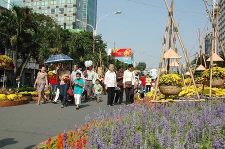 Duong nao thay duong hoa Nguyen Hue? hinh anh