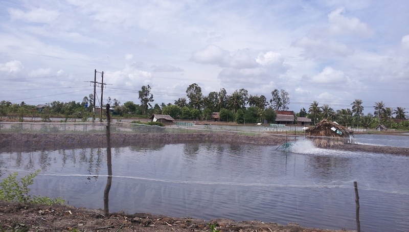 Bi dien giat, 2 cha con chet tham o dam tom hinh anh