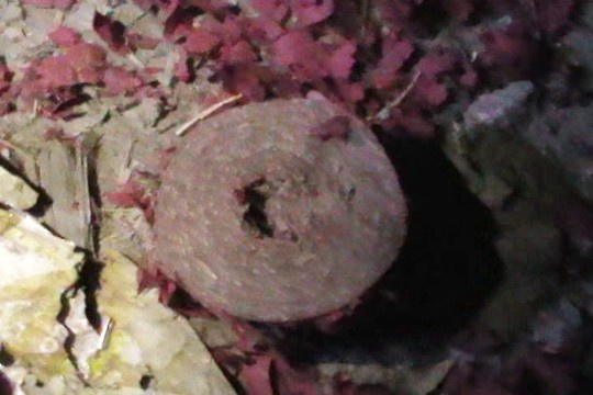 Phao no do duong o Tien Giang hinh anh