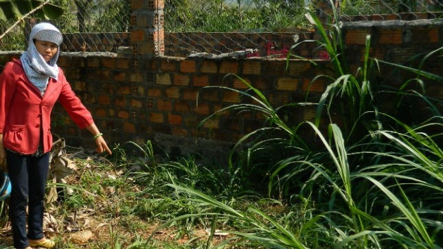 Be gai bi xam hai khi choi tron tim hinh anh