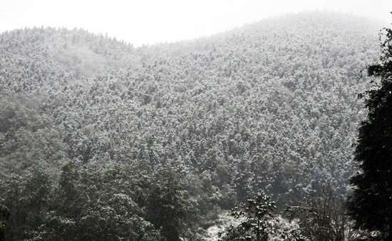 Xuat hien mua tuyet o Sa Pa hinh anh