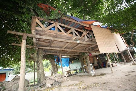 Lam nha tren cay co thu de cai nghien hinh anh