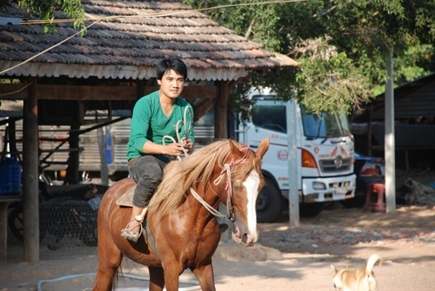 Vua ngua o xu Tay Ninh hinh anh