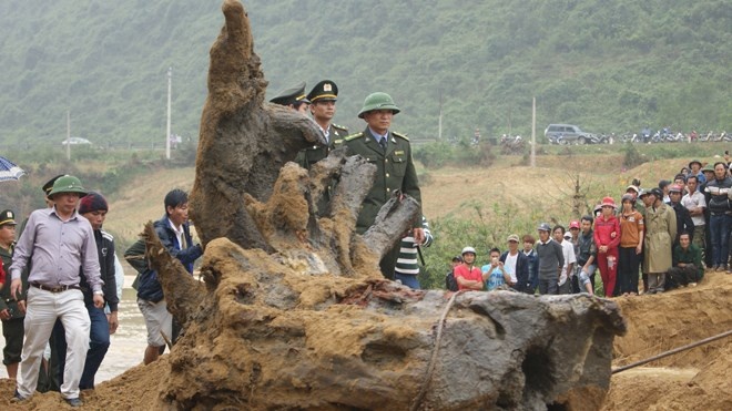 Khuc go sua tien ty: Ong trum xuat hien, tinh the thay doi hinh anh