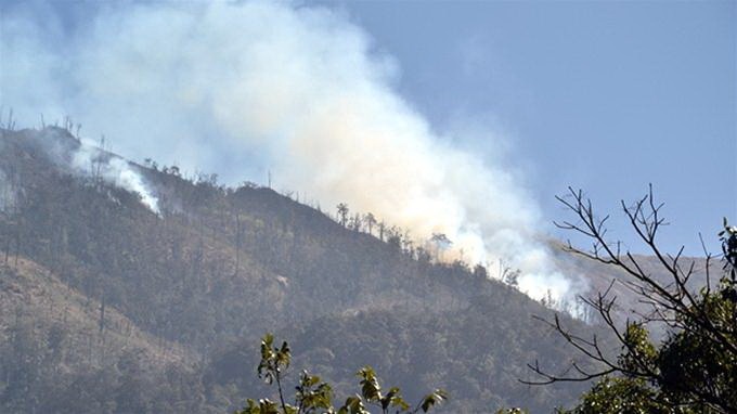 Lai chay lon o Vuon quoc gia Hoang Lien hinh anh