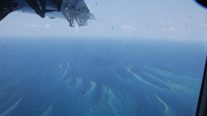 ‘Gia thuyet may bay no khong co co so' hinh anh