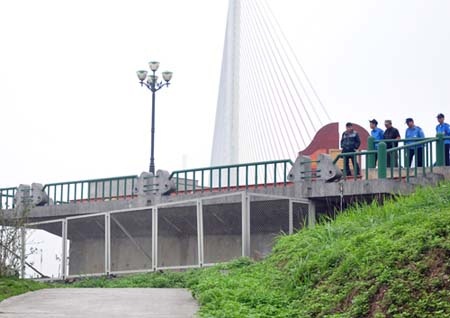 De lai thu tuyet menh truoc khi treo co o cau hinh anh